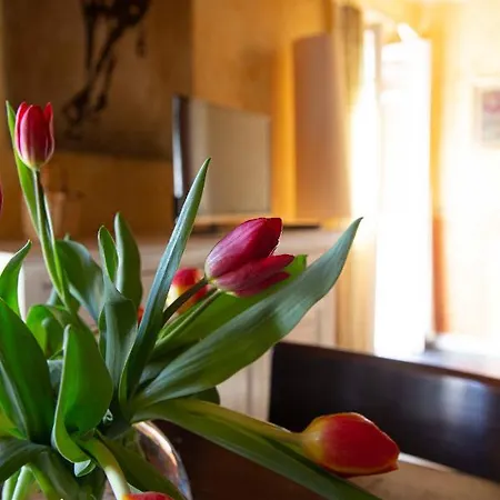 Apartman Le Tre Casette Ameglia