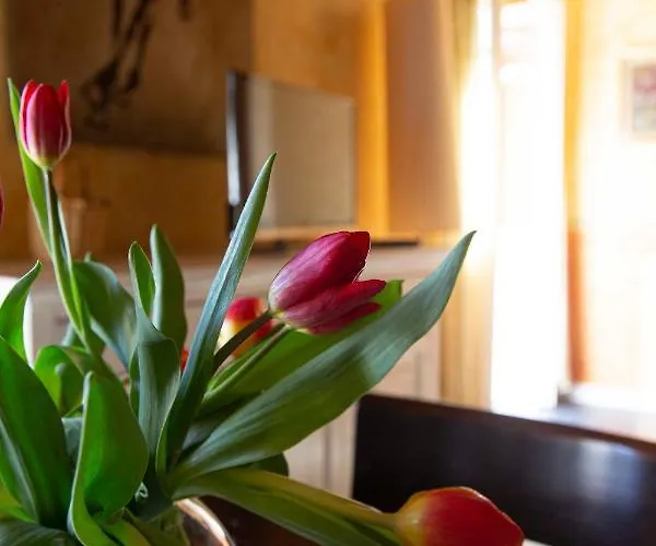 Lejlighed Le Tre Casette Ameglia